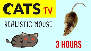 CATS TV - Realistic Mouse 🐁 HD - 3 HOURS (Video Game for Cat \& Dog)