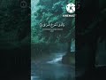 فضلا اشترك في القناة وفعل الجرس فضلا اشترك في القناة وفعل الجرس