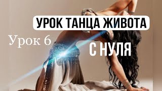 УРОК ВОСТОЧНОГО ТАНЦА ДЛЯ НАЧИНАЮЩИХ | МЕЖАНСЕ НАЧИНАЮЩИЕ | BELLYDANCE