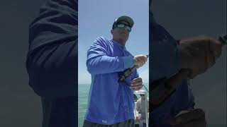 Fly Fishing for Permit