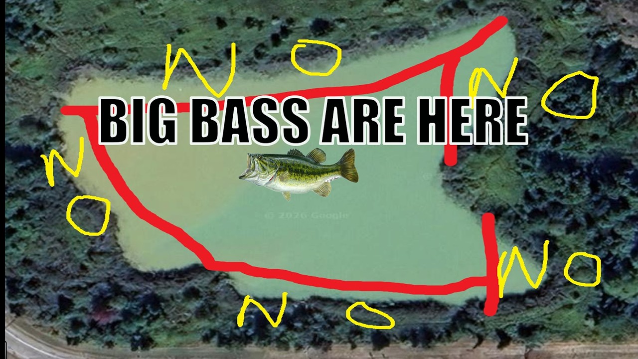 Where the BIG Bass Hide in Pressured Public Ponds (Early Spring Bank Fishing)
