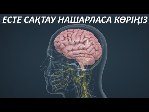 Бейне: Неліктен гигиенаны сақтау маңызды?