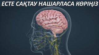 видео: Есте Сақтау Нашарлап Кетсе Көріңіздер, Бұл Видео Сізге арналады, Есте сақтауды жақсарту, Керек арнас картинка: Есте Сақтау Нашарлап Кетсе Көріңіздер, Бұл Видео Сізге арналады, Есте сақтауды жақсарту, Керек арнас