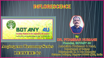 BOTANY 4U | ANGIOSPERM TAXONOMY | PITAMBAR HUMANE | LECTURE-05 | Inflorescence & It