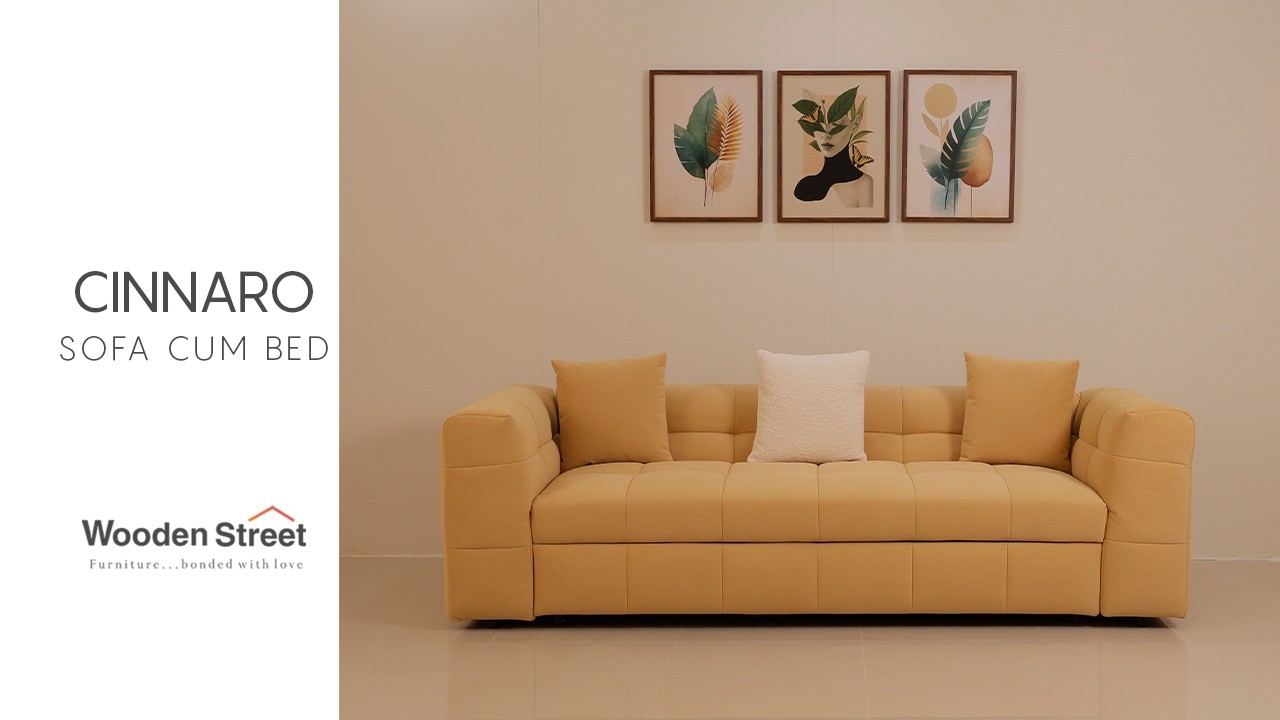 Cinnaro Modern Sofa Cum Bed | Stylish Pull-Out Comfort for Every