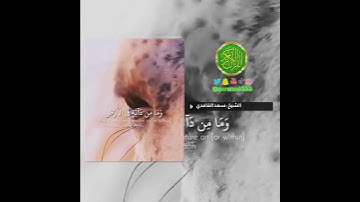 الشيخ: سعد الغامدي، سورة الأنعام، آية (٣٨).
