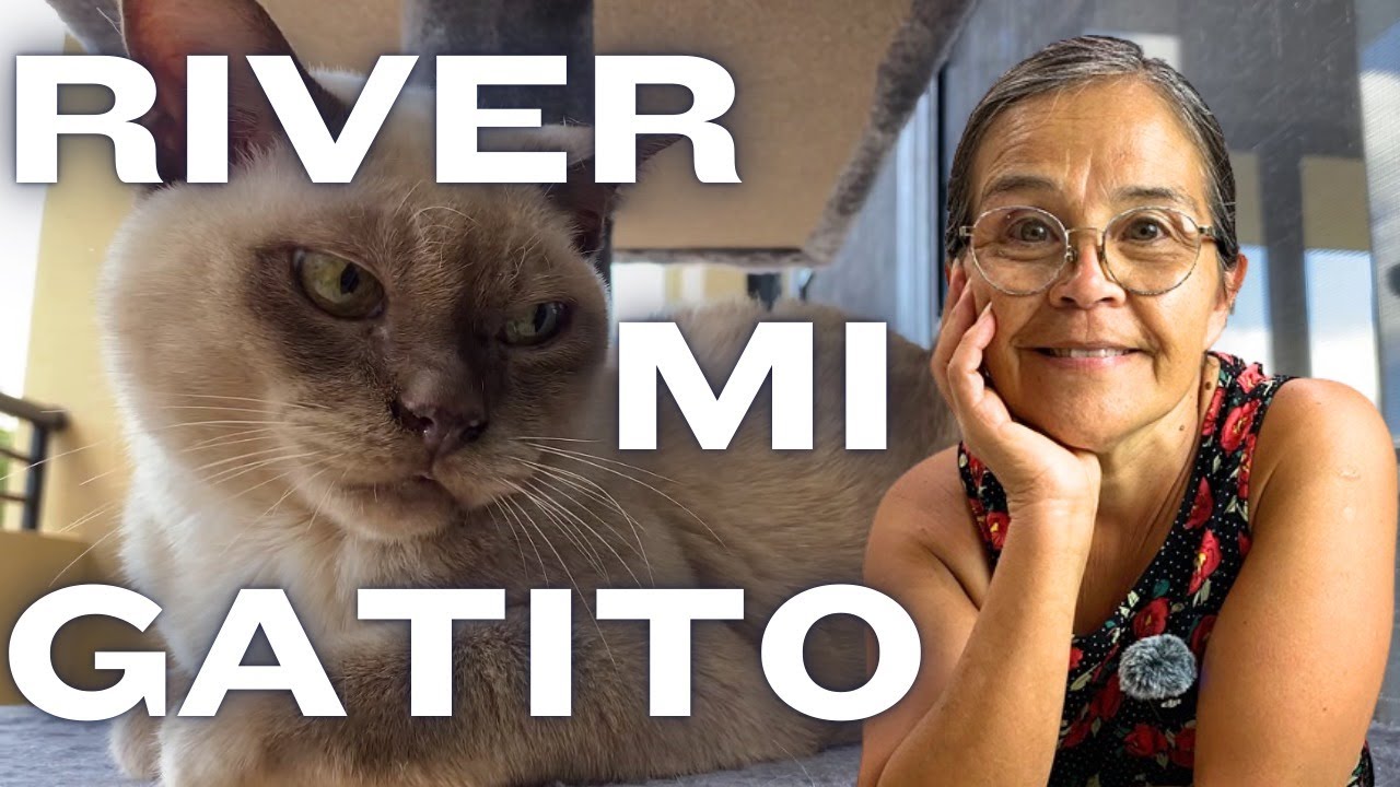River Mi Gatito #viralvideo #asmr #new