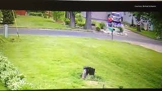 Download Lagu Wolf-like creature spotted in Racine County MP3