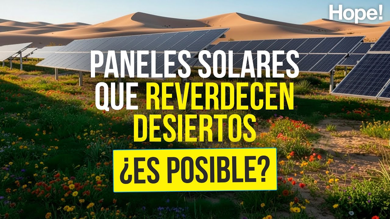 El mayor campo solar de China reverdece un desierto... por accidente