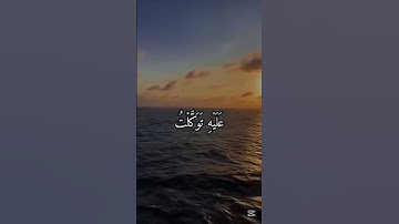 #المصحف#القرآن الكريم#اللهم_صل_وسلم_على_نبينا_محمد ❤️❤️