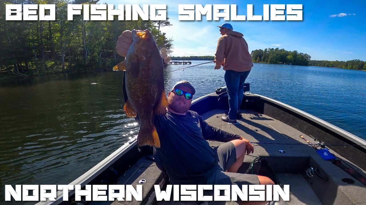 Smallmouth Bass Fishing the Spawn in Northern Wisconsin-Afternoon Day 2 (Minocqua 2024)