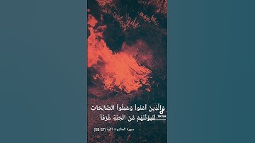 سورة العنكبوت الآية {57-58} حالات واتساب
