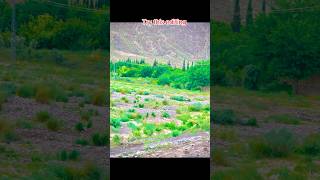 iPhone editing #smartphone #iphoneediting #photography #iphoneediting