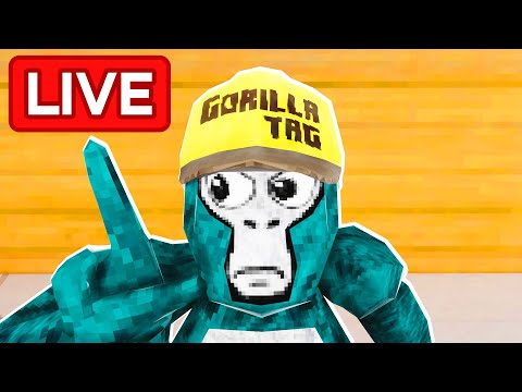 Gorilla Tag LIVE! Playing with fans