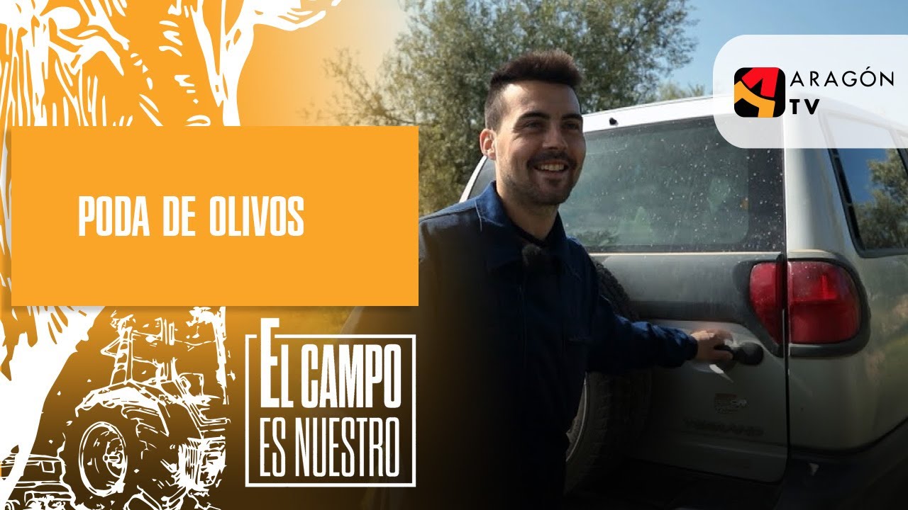 Poda de olivos