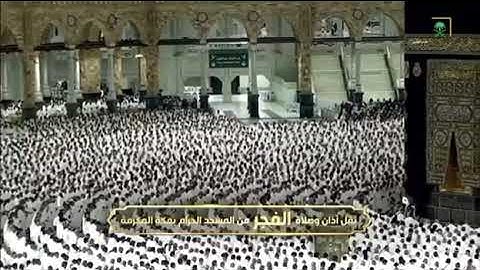 فضيلة الشّيخ .د. ماهر بن حمد المعيقلي 💡| فواتِح سورة الحجرات 