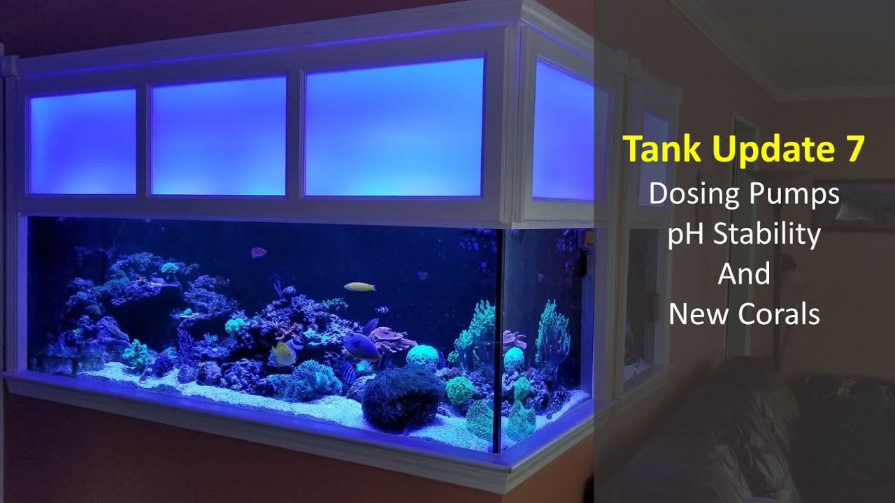 Gallery Detail: Tank Update 7 Dosing Pumps And Ph Stability 2 16