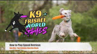 K9 Frisbee Speed Retrieve