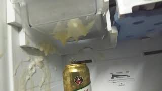 Beer Blast in Freezer..