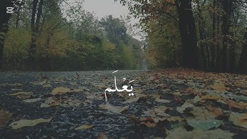 المنشاوي سورة العلق #قران_كريم #قرآن #اكسبلور #المصحف #راحة_نفسية 