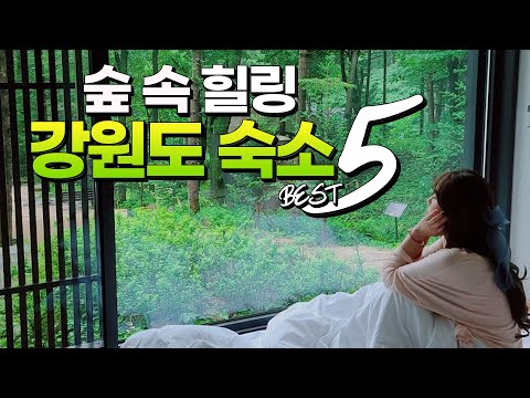   ENG SUB 숲 속에서 힐링 제대로 되는 강원도 숙소 BEST 5 Gangwon Do Hotels And Resorts In The Forest