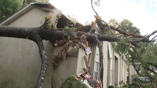 Fallen trees, downed power lines in Tallahassee after Helene makes landfall
