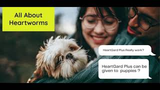 All About Heartworms: What You Need to Know to Keep Your Pet Safe by BudgetPetCare 23 views 3 years ago 1 minute, 9 seconds