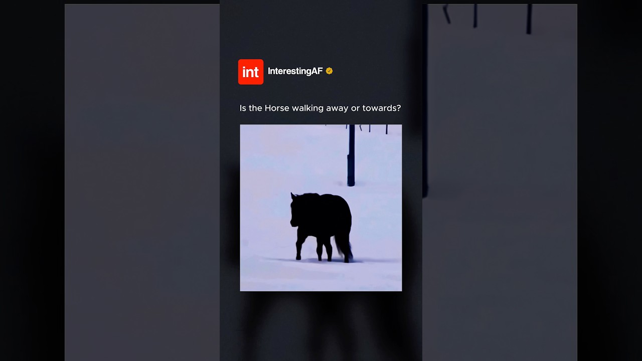 This Illusion Confuses EVERYONE! 👁️