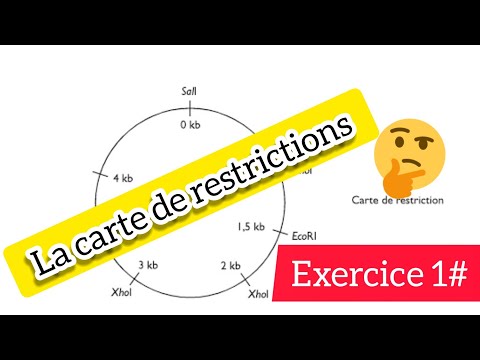 Vidéo: Comment est faite une carte de restriction ?