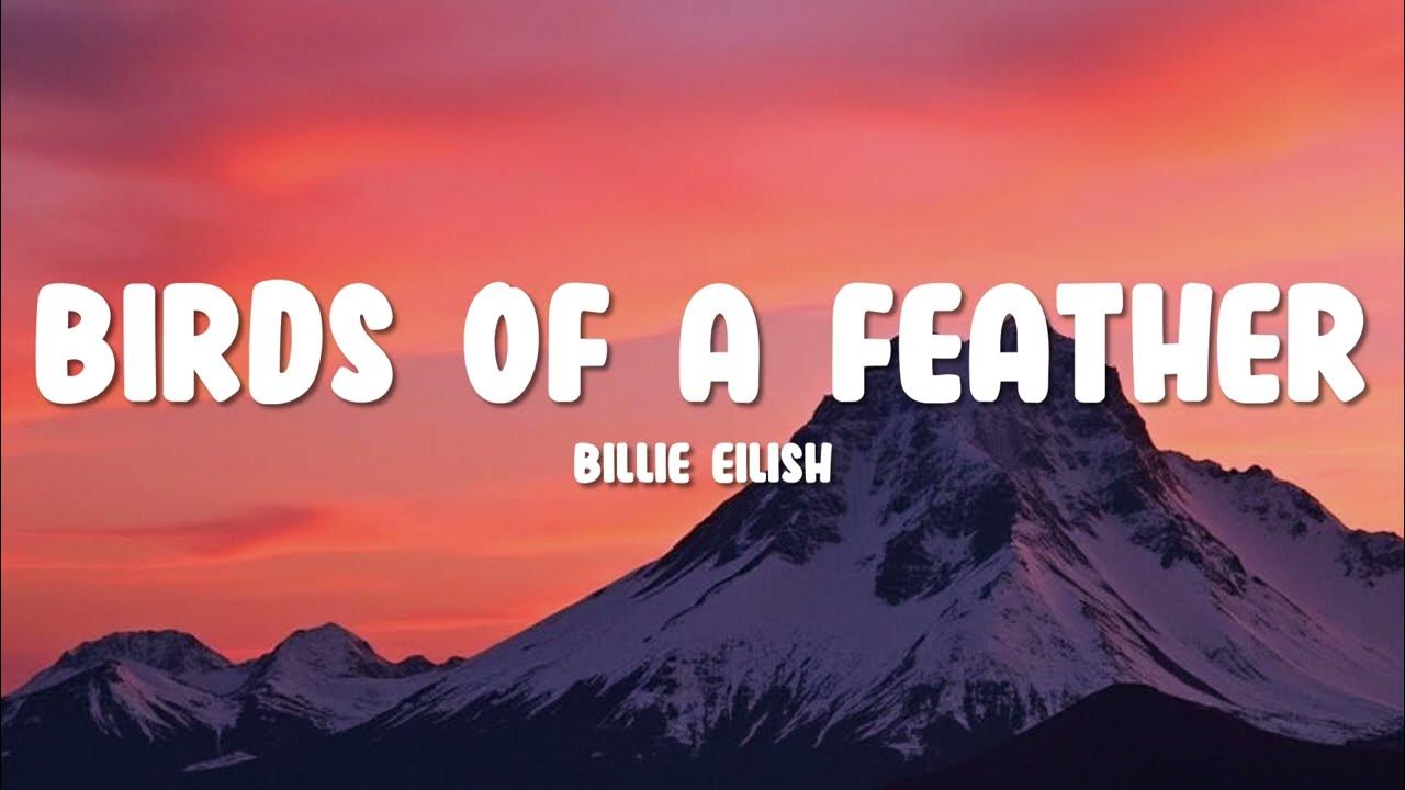 Billie Eilish - BIRDS OF A FEATHER (Lyrics) Billie Eilish - BIRDS OF A FEATHER (Lyrics)