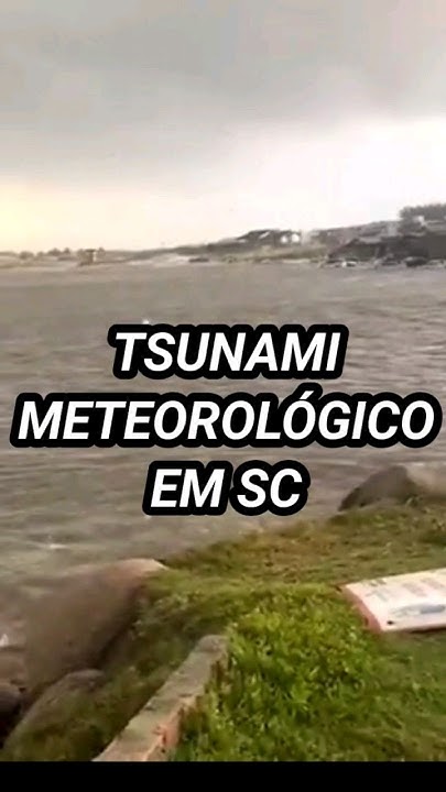 Tsunami update laguna beach