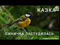 ● КАЗКА "СИНИЧКА ЗАСТУДИЛАСЬ"