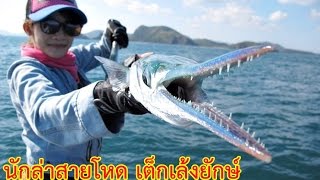 Needlefish the Predator by Mayme fishingEZ (เต็กเล้งยักษ์ นักล่าสายโหด โดย เมย์มี่ )