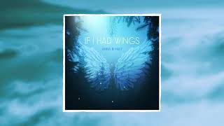 Anna B May - If I Had Wings | Orchestral Ambient, Cinematic Music