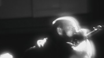 Into The Vein - The Garden Below [Official Music Video]