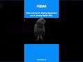 When everyone’s chasing degrees but you’re chasing digital skills - FSIDM