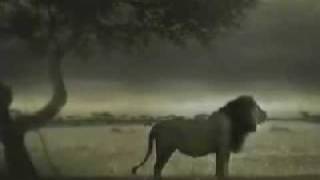 LeBron James (Nike -lion).mp4