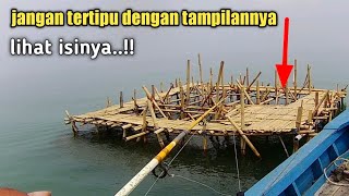 Sulit Di Percaya Bagan Sekecil Ini Di Huni Barramundi Monster