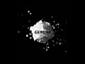 GEMINI by pebdesign