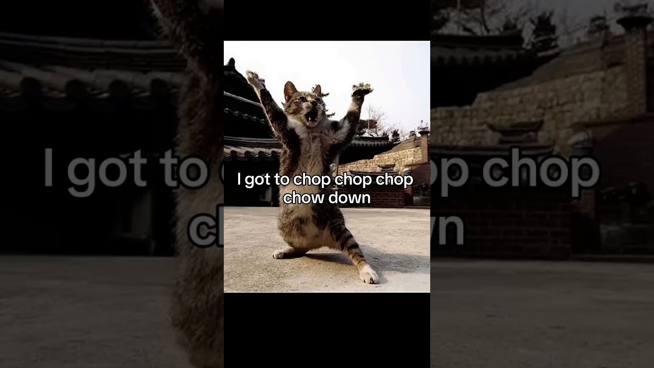 Im Finally Ninja Cute Cat Meme 