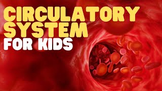 Circulatory System for Kids | Learn all about how blood travels through the body screenshot 5