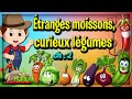 Tranges moissons curieux lgumeslodie et le matre des rves chap 2 histoire conte