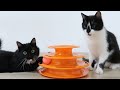 Gamer cats unboxing tower of tracks toy | Uni and Nami
