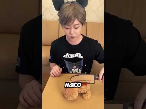 Я думал, это шутка… пока не увидел соус на собаке 😱🐾 #short
