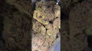VASCO CIPHER - Blueberry Bannana T28 - NON IR - π **NEW 2026 BATCH** π VASCO CIPHER - Blueberry Bannana T28 - NON IR - π **NEW 2026 BATCH** π