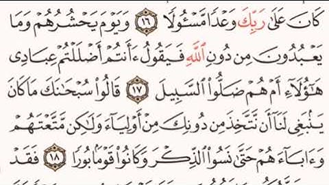 الصفحة رقم 361 الشيخ ماهر المعيقلي - القرآن الكريم - Quran