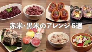 【ご飯・おかずのレシピ】赤米・黒米のアレンジ6選(TOMIZ-富澤商店)