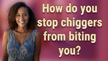 How do you stop chiggers from biting you?
