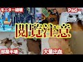 【マジでヤバい】APEXでイライラしすぎて壊したもの20選【APEX LEGENDS】