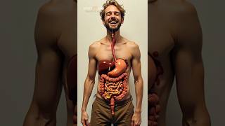 The Human Digestive System Exposed